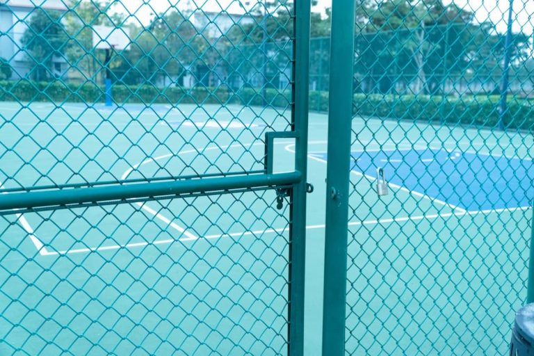 How Memes Influence Betting Trends